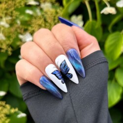 Mariposa ojo de gato azul