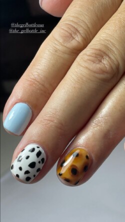 Estampados de animales dibujados a mano